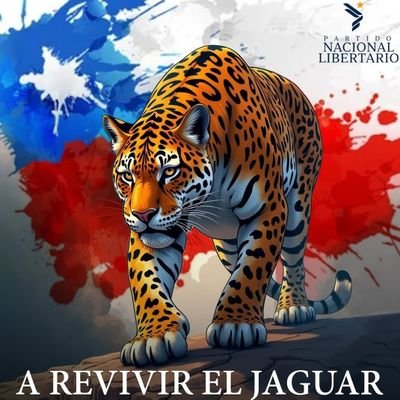 Economista aficionado, patriota, informático, desarrollador de sistemas complejos con soluciones simples, inversor en bolsa.