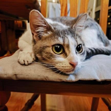 _Stephane__'s profile picture. 