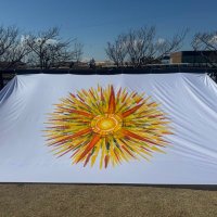 ひらちん🌻 (@hirachin_crew) 's Twitter Profile