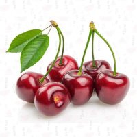 الخديوي (@user23867475383) Twitter profile photo