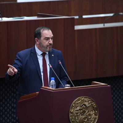 Président de la commission des Affaires Étrangères, de la Coopération et de l'émigration à l'APN