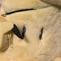 ミミッキュのみみきゅ (@mimikkyumimikyu) Twitter profile photo