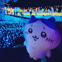 綾鷹@ちいかわイラスト練習中 フォローの前に垢ちゃんと見てね (@agm8wr) 's Twitter Profile Photo