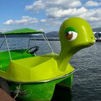 もがもが (@sucharakapi) 's Twitter Profile Photo もがもが (@sucharakapi) 's Twitter Profile Photo