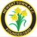 Newent Town AFC (@newenttownafc) Twitter profile photo Newent Town AFC (@newenttownafc) Twitter profile photo