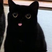 loome (@wwyl404) 's Twitter Profile