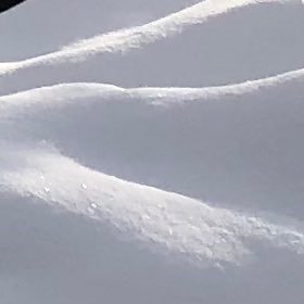 integrated36's profile picture. 