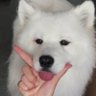 zunrisezn's profile picture. 𝙈𝙮 𝙮𝙤𝙪𝙩𝙝 𝙞𝙨 𝙮𝙤𝙪𝙧𝙨. | Personal acc. for everything that makes me happy ꕤ