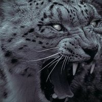 quant (@quantumtrencher) 's Twitter Profile