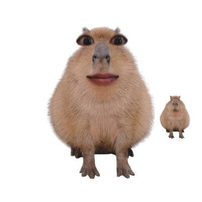 abnormal_hj's profile picture. 汚い趣味は私の人生のようなものです。無言で注目してごめんなさい