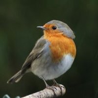 khaty (@khaty4517746591) 's Twitter Profile Photo khaty (@khaty4517746591) 's Twitter Profile Photo