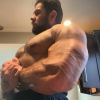 4 greek gods (@diplomat4713) 's Twitter Profile Photo
