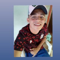 Daniel Rodrigues (@danielr67588946) 's Twitter Profile