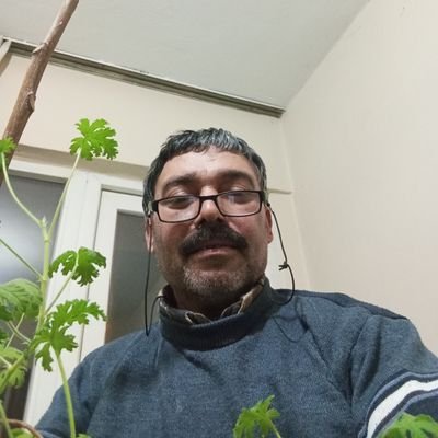 rfan65357191154's profile picture. 