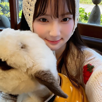 ashirosemudou's profile picture. mudei. 🤍