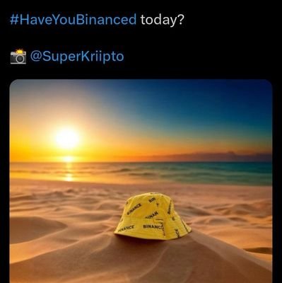 renzoassi8719's profile picture. $ Hasbulla’s cat $BARSIK