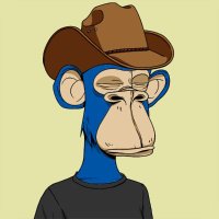 Brov🍌🦍 (@0xbrov) 's Twitter Profile Photo Brov🍌🦍 (@0xbrov) 's Twitter Profile Photo