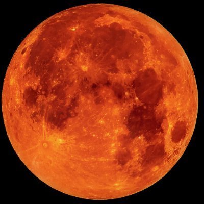 Pulsarr_eth's profile picture. the universe is listening. eth to $10,000.