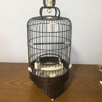 Davy1008's profile picture. 