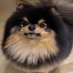 ปปม (@foofoofu) Twitter profile photo ปปม (@foofoofu) Twitter profile photo