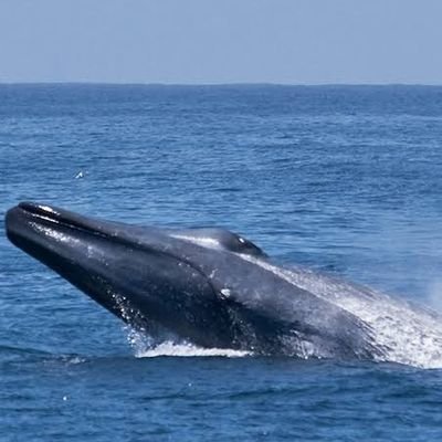 sheikhg234's profile picture. THE BEST PREPARATION FOR TOMORROW IS DOING YOUR BEST TODAY !!!