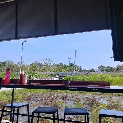 Choirul041's profile picture. 