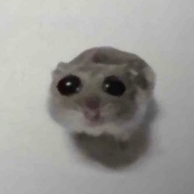 Luniel99's profile picture. 