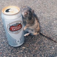 trap_zack (@zackeiseman) 's Twitter Profile Photo trap_zack (@zackeiseman) 's Twitter Profile Photo