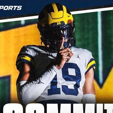 Ripple99Triple's profile picture. MSU n OSU grad - Engineer