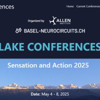 Lake Conferences (@lakeconferences) 's Twitter Profile