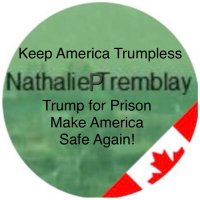 NathaliePTremblay (@nattremb_) Twitter profile photo