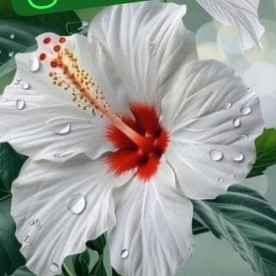 ggbd12685185's profile picture. வாழ்க்கையே போராட்டம் தான்