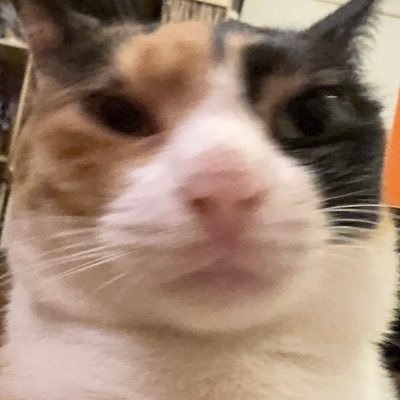 Xwenzz322's profile picture. 