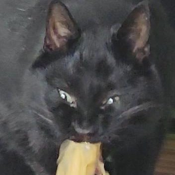 krq__'s profile picture. 