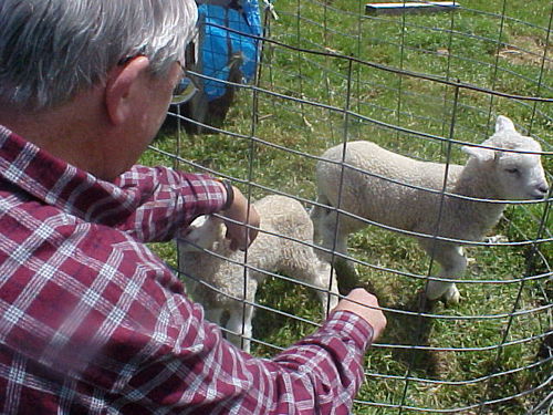 I write fiction and create educational programs and software. Social marketing expert by accident!  http://t.co/dfDh2zFf47