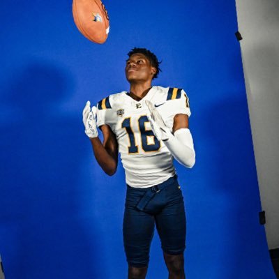 Terrance Lee Profile