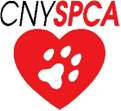 this account was created to support the animals, and spread the word about the CNYSPCA! 
#TeamFollowBack #TeamForTheAnimals 
#TeamSPCA