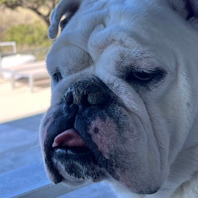 TweekKC's profile picture. “Abandon hope all ye who enter here.” | Over caffeinated and descending into madness. | “And in the end I will show you that this life is only madness”