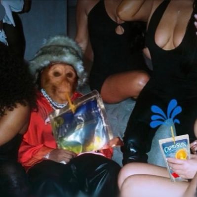 brwncryptobandt's profile picture. 