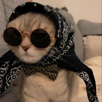 ReeM. (@reem_2385) 's Twitter Profile