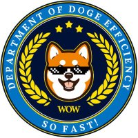Department Of DOGE Efficiency (@efficiencydoge) 's Twitter Profile