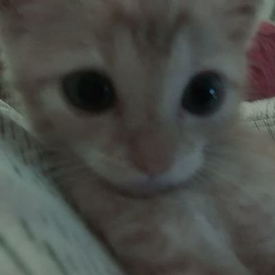 m_anacsz's profile picture. love changes people.