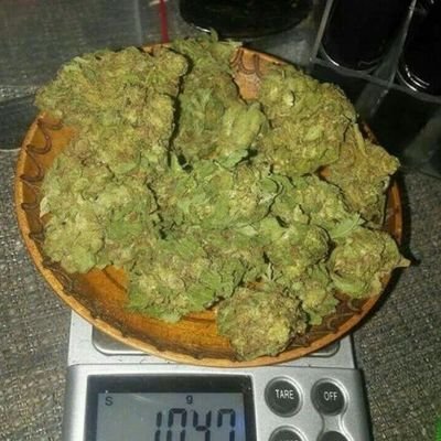 livraison rapide et discret de la bonne fume 🍁 dispo 🏎️☎️