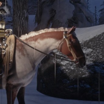 Kieran ILYšš
Tennessee Walker stallion
Baylock hmuš¤¤š¤¤
HOME OF SEXUALš«µš«µ