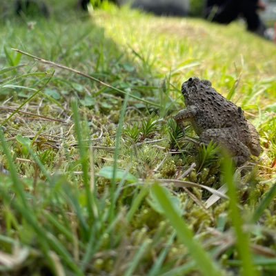 xc4z62J7oKtL5KI's profile picture. 