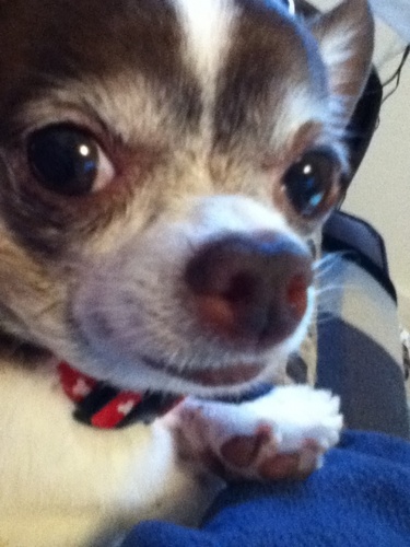 YukonDellie's profile picture. 