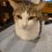 mjl7rgnw1b18135's profile image