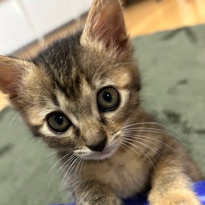 pifun129's profile picture. 