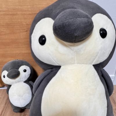凛として時雨ファンの方無言フォロー失礼します。 逆に無言フォローしてください(???)【ウイスキー🥃 】【凛として時雨】 前垢@wara_sgr