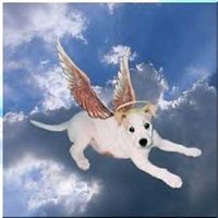 Barbara (@kennedy81857) 's Twitter Profile